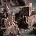 Молодой человек начал делать шоколад после того, как вернувшись из Лондона в Литву, стал безработным