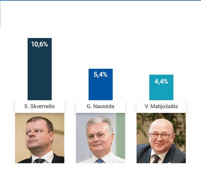 Lietuvos prezidento rinkimai