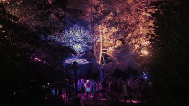 Dzūkijos miškuose vyko jubiliejinis Yaga gathering festivalis
