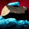 Atrado organizmą, kuris klesti valgydamas meteoritus: primena pirmykščių Žemės mikroorganizmų elgesį