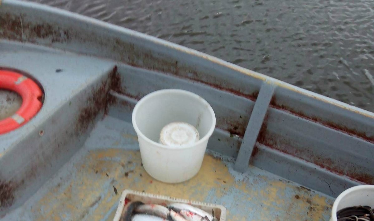 Žvejų verslininkų Kuršių mariose sugauti šlakiai