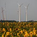 Per pusę metų vėjo jėgainės pagamino 30 proc. daugiau elektros energijos