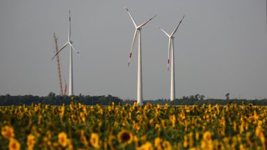 Per pusę metų vėjo jėgainės pagamino 30 proc. daugiau elektros energijos