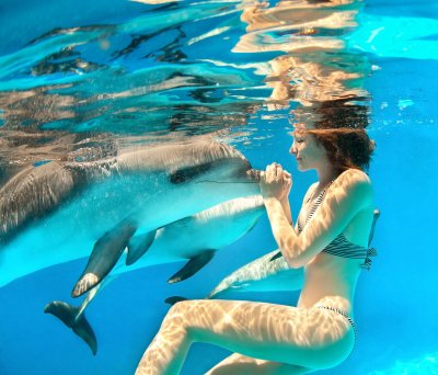 Mokslininkai ištyrė delfinių kūnus ir aptiko stebėtinų panašumų su moterų fiziologija.