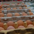 Paprasti kiaušiniai pardavinėti kaip ekologiški?