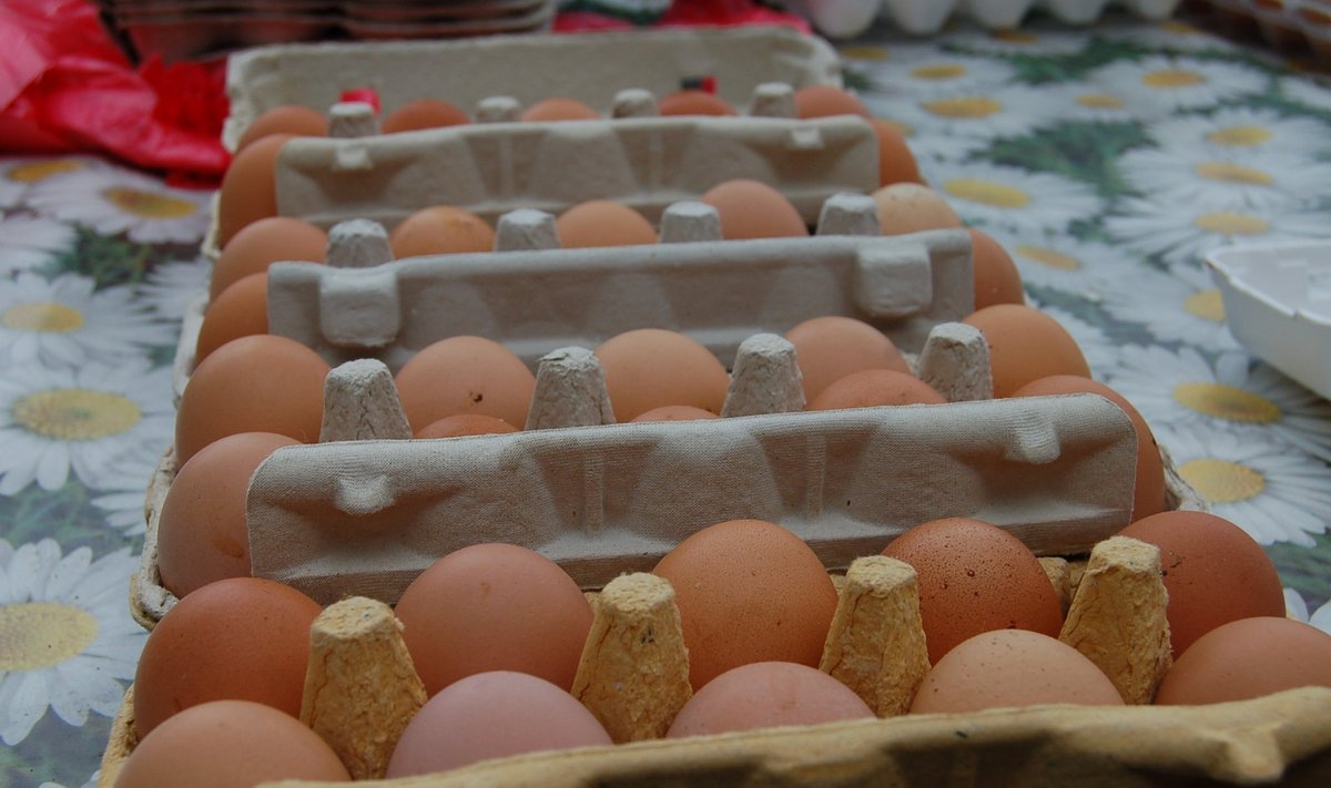 Kaimiški kiaušiniai