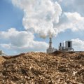 Miško savininkas: biokuro era pasibaigė neįsibėgėjusi