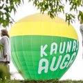 Kauniečiams siūlys populiarią pramogą: nutarta, kiek tai turėtų kainuoti