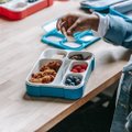 Pribloškiantys tyrimo apie mokyklos maistą rezultatai: gali iš esmės pakeisti požiūrį į užkandžių dėžutę