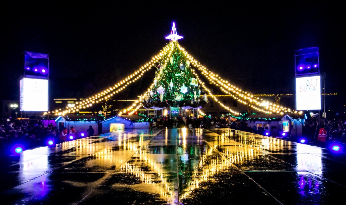 Christmas tree in Kaunas