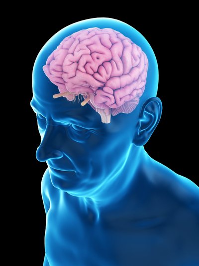 Galvos smegenys