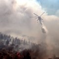 Graikijoje – milžiniški gaisrai: mestos karinės pajėgos ir aviacija
