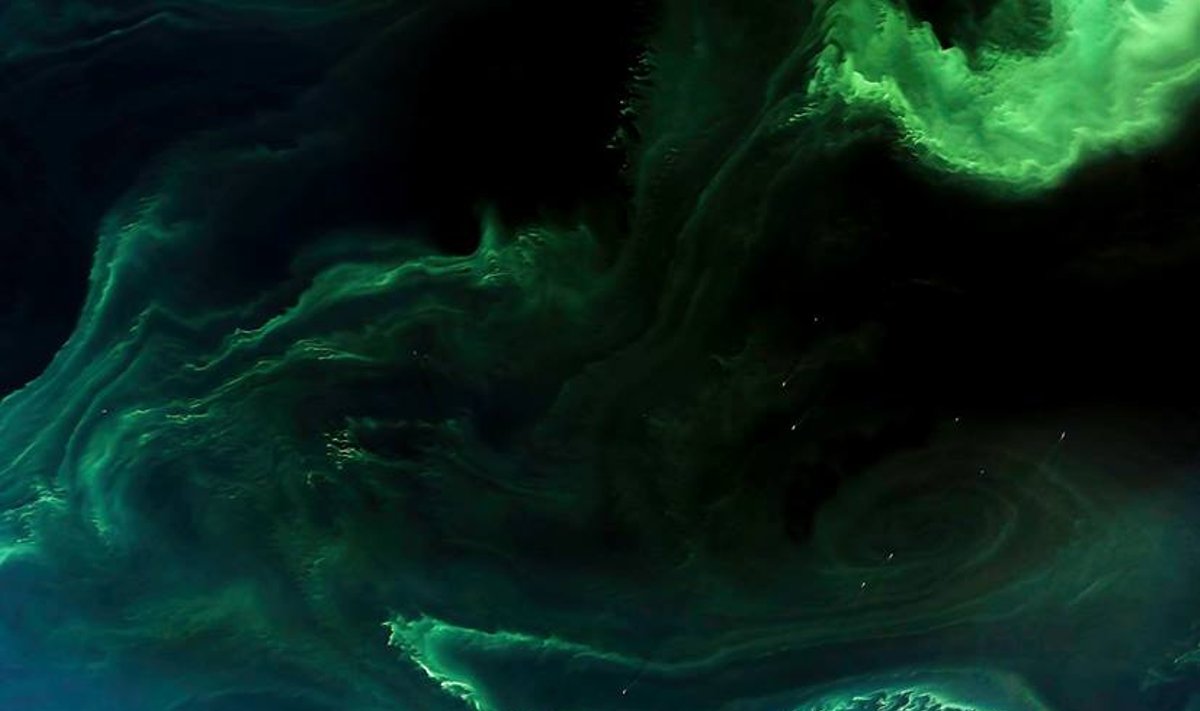 Palydovas „Landsat 8“ nufotografavo Baltijos jūrą