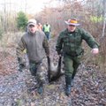 Gamtosaugininkas: tarp vilkų ir medžiotojų dabar užvirs nuožmi kova