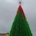Вильнюсцы увидели, какой в этом году будет главная рождественская елка