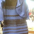 Suknelė, padalinusi internetą: kodėl žmonės ją mato skirtingai?
