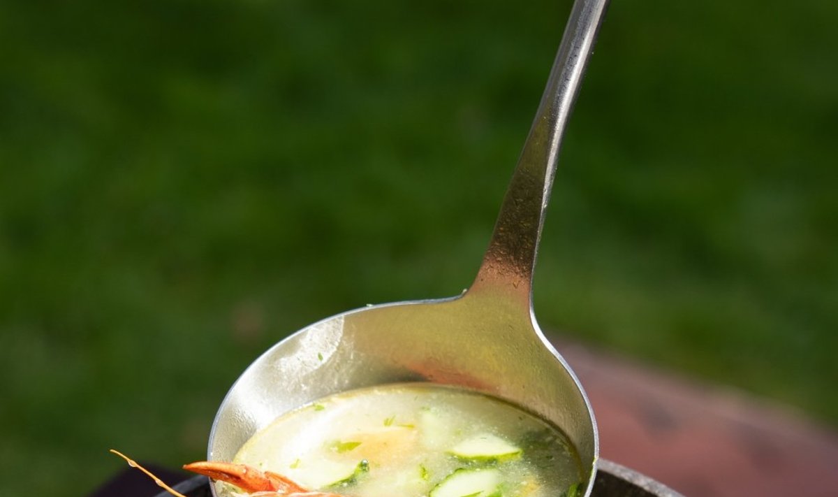 Gardžioji žuvienė su ant grilio kepta lašiša ir marinuotais agurkėliais