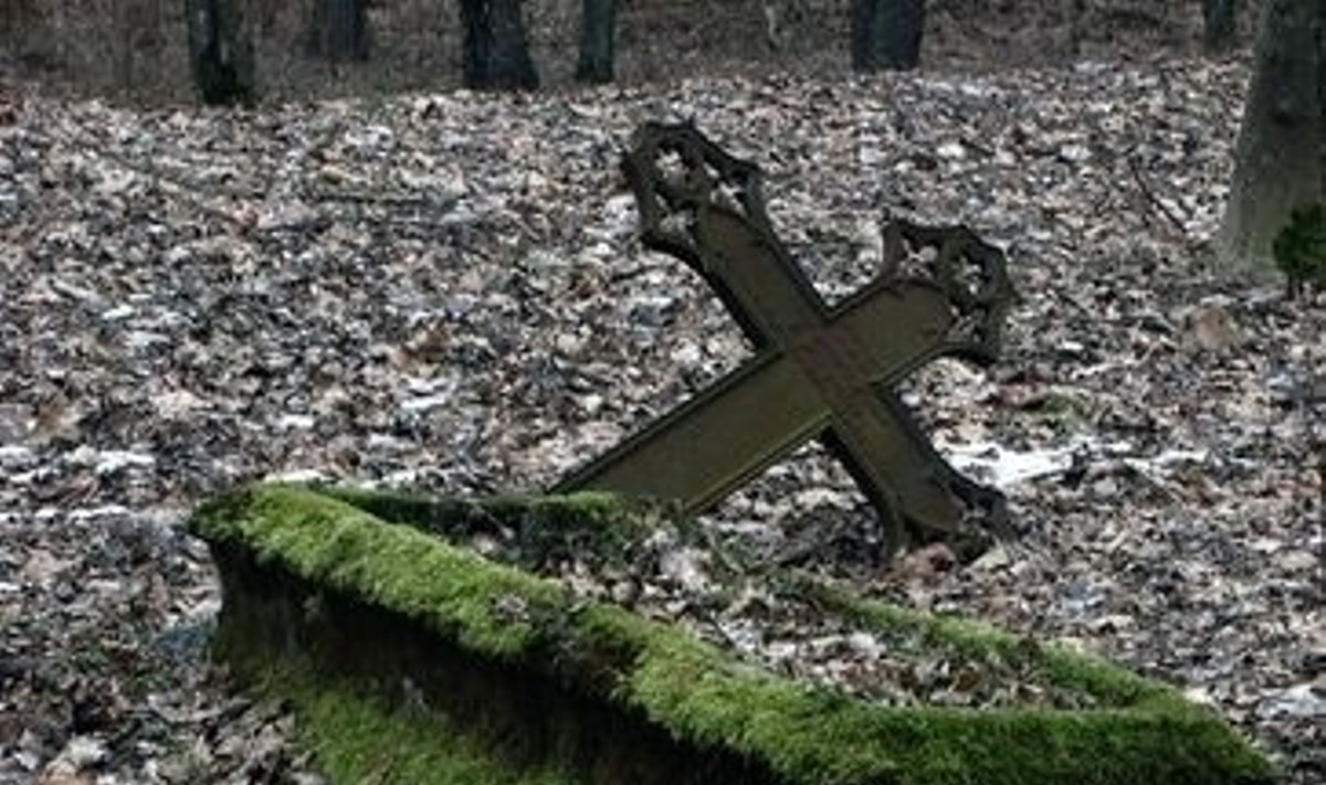 Išniekintos kapinės, vandalai