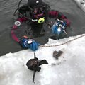 Rusijos narai užšalusioje upėje ieško senovinių kaulų