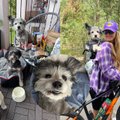 Begalę gyvūnų išgelbėjusi Kristina Urbonaitė: kartą mano vieno kambario bute gyveno 13 šunų