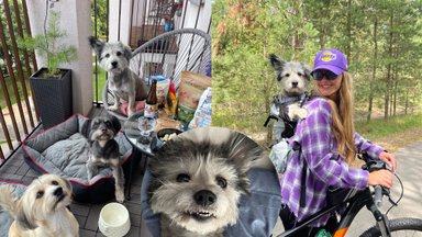 Begalę gyvūnų išgelbėjusi Kristina Urbonaitė: kartą mano vieno kambario bute gyveno 13 šunų