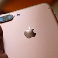 „Apple“ įspėja Trumpą: muitai Kinijai padės konkurentams