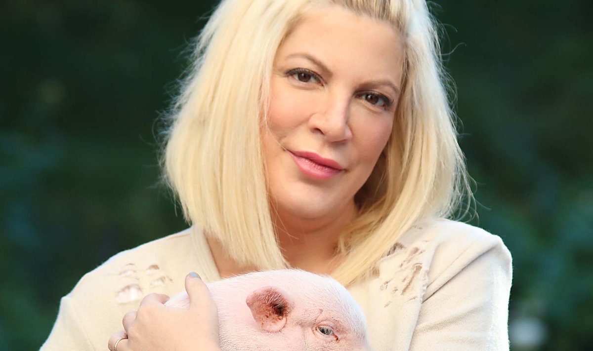 Tori Spelling su savo kiaule