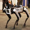 „Boston Dynamics“ dievagojasi – jos robotai nešaudys: smerkia robotų ginklavimą