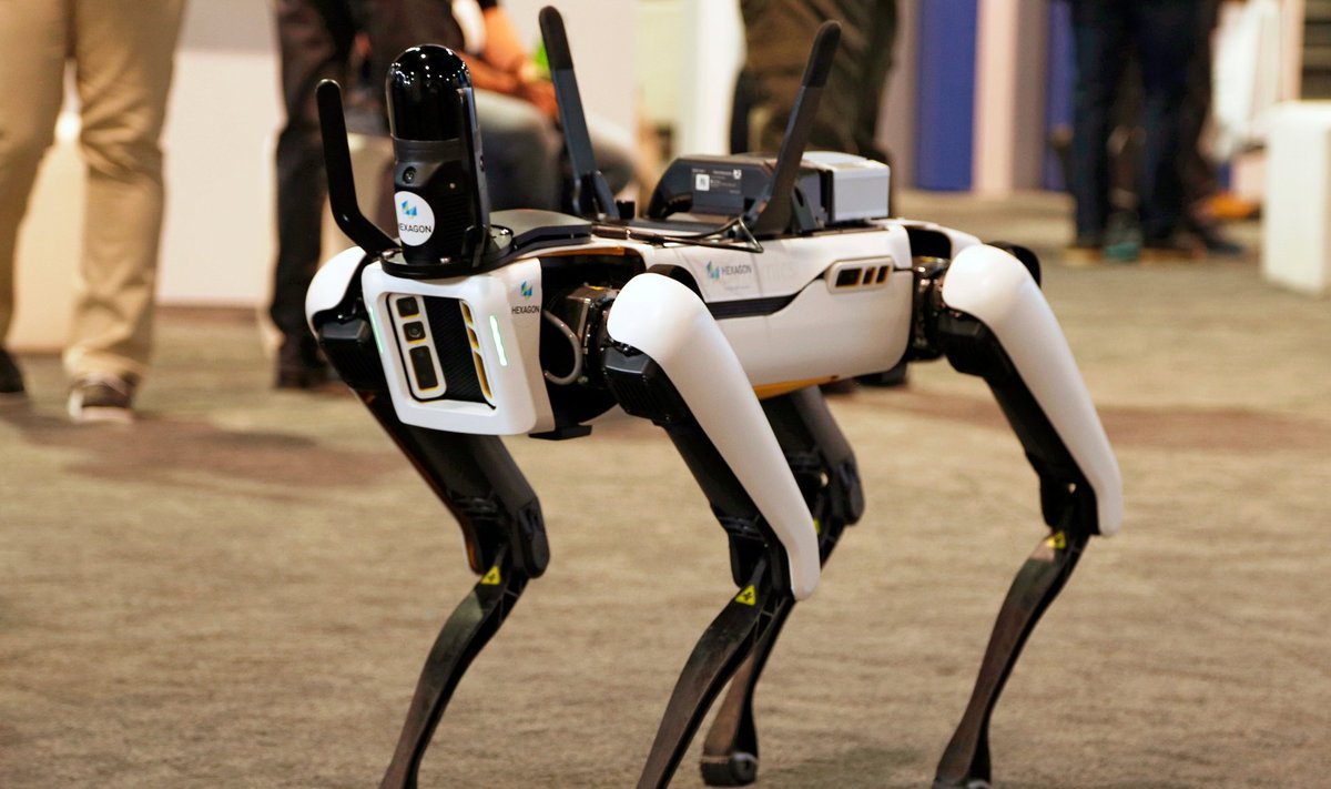 „Boston Dynamics“ robotinis šuo „Spot“