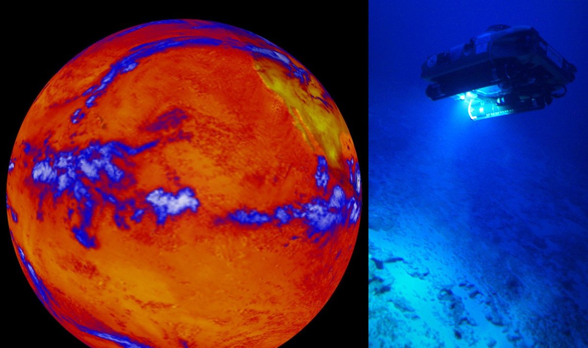 Šylantis klimatas keičia vandenynų ekosistemas.