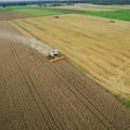 Grūdų vežėjai sulaukė nuolaidų iš „Lietuvos geležinkelių“