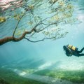 Gruner See Austrijoje: parkas žiemą, ežeras vasarą