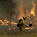 Savaitgalį būkite atsargūs: aukščiausios klasės miškų gaisringumas – trečdalyje Lietuvos