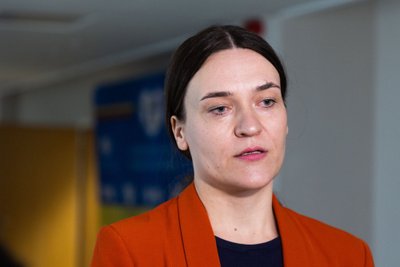 Radvilės Morkūnaitės-Mikulėnienės komentarai po susitikimo su Justu Džiugeliu