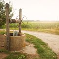 Vasaros poveikis dėl vandens: ką daryti turint šulinį?