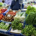 Šapoka: PVM lengvata daržovėms nesumažintų kainų, tik padidintų pardavėjų pelnus
