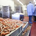 Rusijos sprendimas - uždraudžia žuvies importą iš didžiųjų Lietuvos įmonių