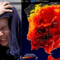 Pragariškų karščių nebeatlaiko net sveiki žmonės: tyrimą atlikę mokslininkai nurodė kritinę temperatūros ribą organizmui