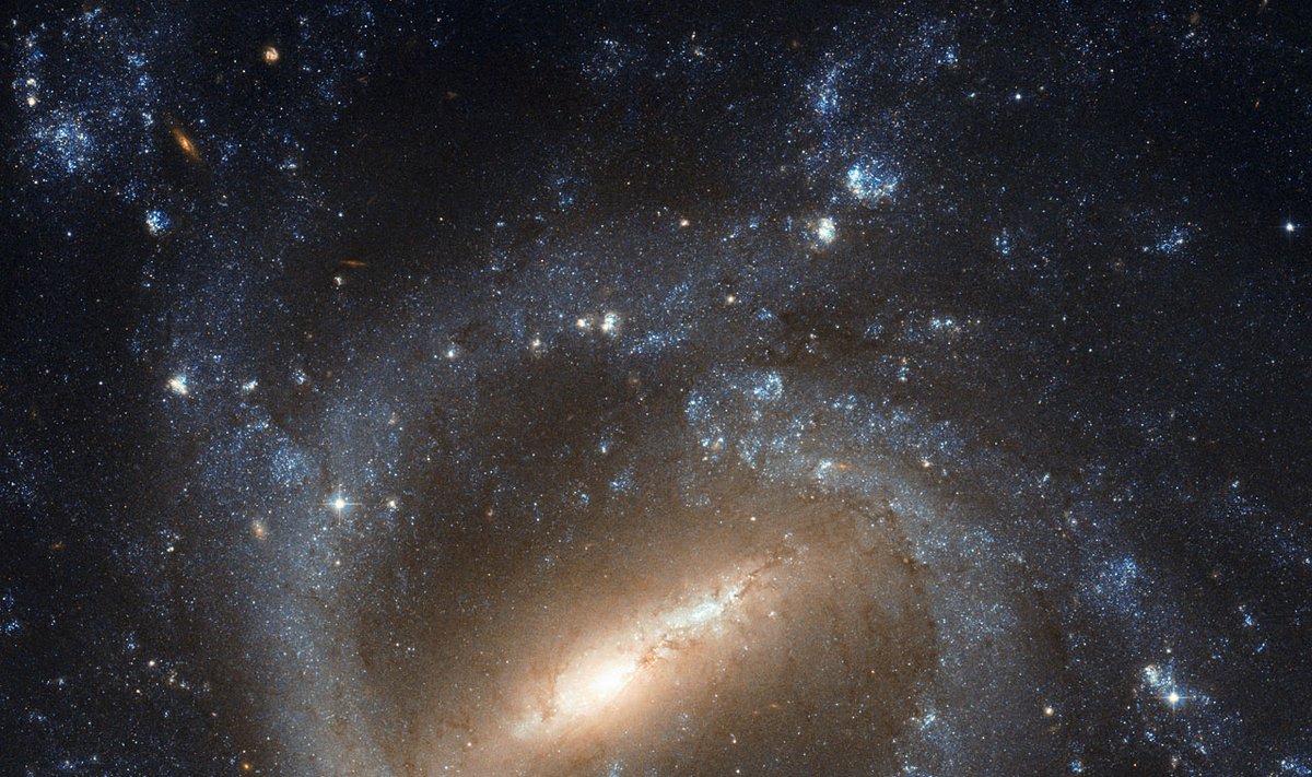 "Hubble" palydovo užfiksuotas NGC 1073 galaktikos vaizdas