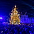Ieškoma kalėdinės eglutės kūrėjų: Kaunas planuoja išleisti 160 tūkst. eurų