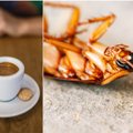 Fake or true: your coffee might contain grounded cockroaches