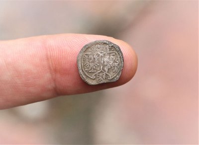 Teigiama, kad ši XVI a. Zigmanto Vazos moneta (ternaras) - pirmoji rasta Lietuvos teritorijoje. D. Nikitenkos nuotr.