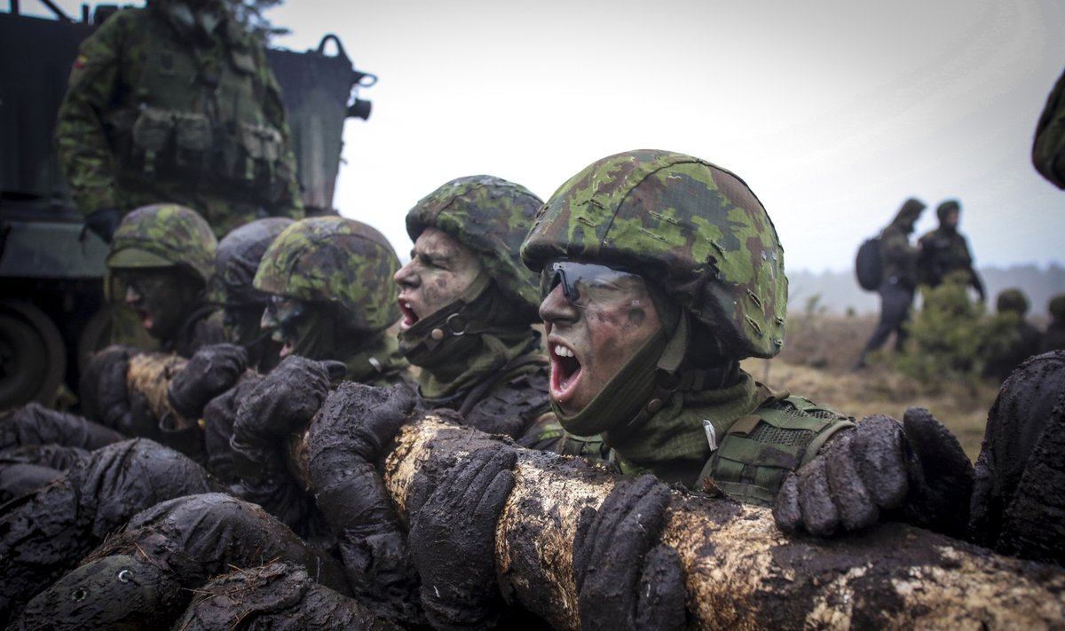 Lithuanian troops exercise in Rukla