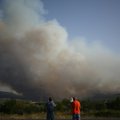 Turkijoje tvyrant karščiui kilo dideli miškų gaisrai
