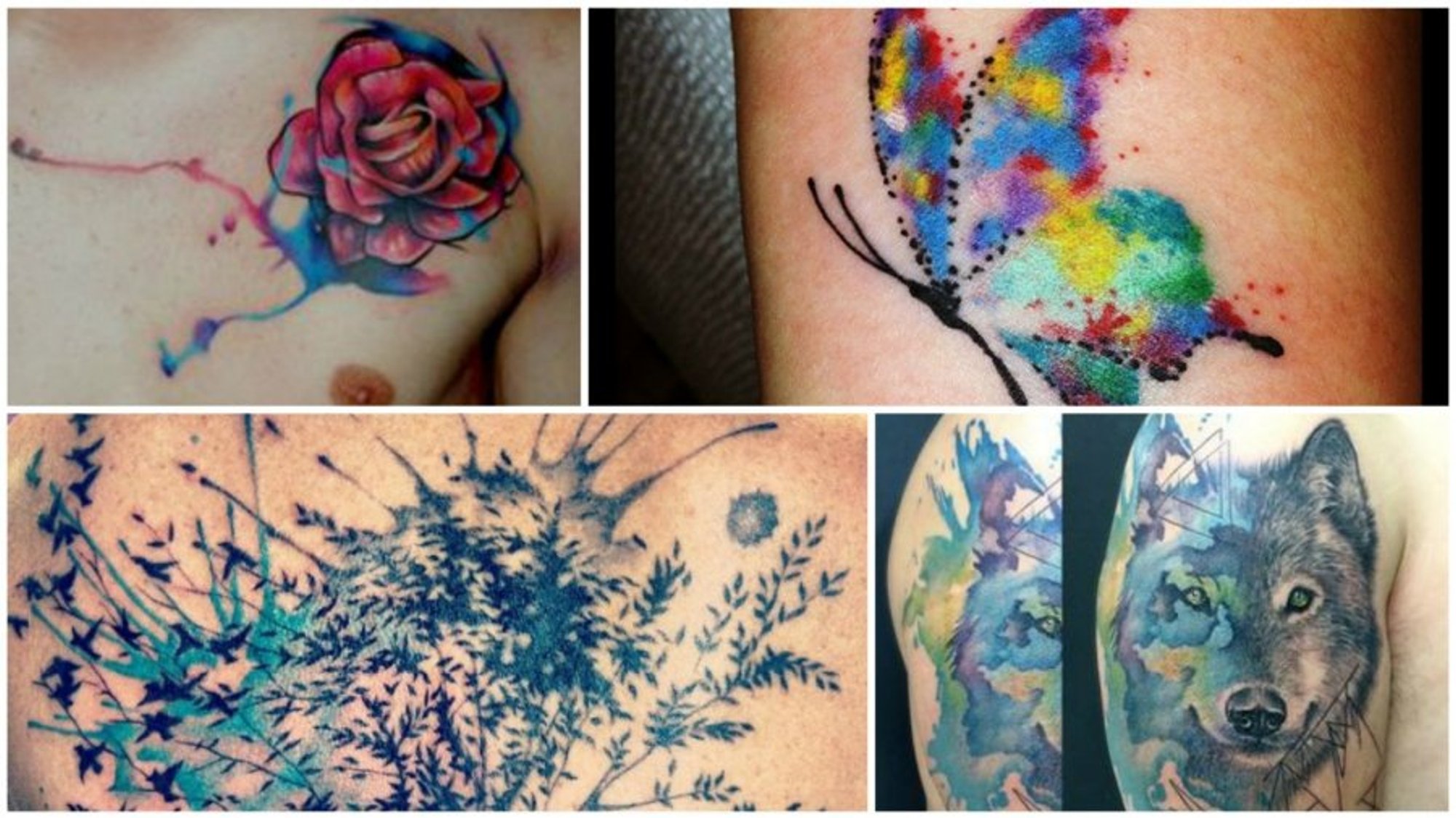 Nowa przynęta dla fashionistek: wyniki są podejrzane