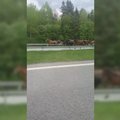 Водители потрясены: на автостраду в Литве выбежал табун лошадей