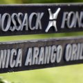 „Mossack Fonseca“ steigėjas: „mūsų bendrovę atakavo programišiai“