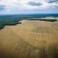 Lietuvoje daugėja laisvos žemės, bet kainos nekrenta