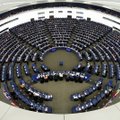 Aktyviausi Lietuvos atstovai Europos Parlamente - Blinkevičiūtė ir Auštrevičius