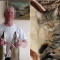 Vilnietis surengė žiaurią egzekuciją: kaimynų akivaizdoje užmušė katiną